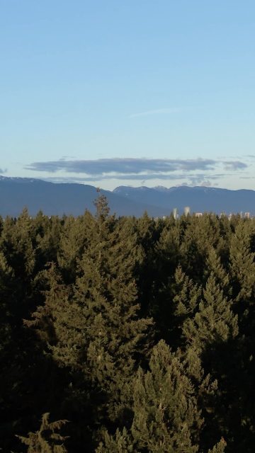 Cleared for takeoff 🚁